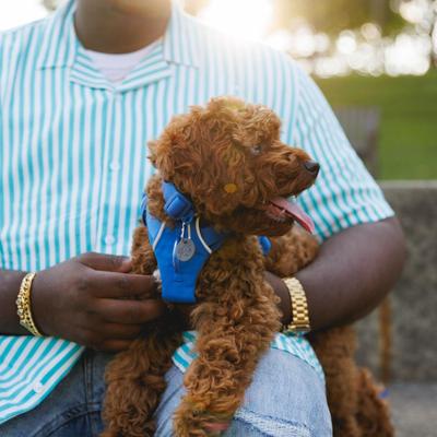 Show full view: Ruffwear Front Range Polyester Dog Collar, Blue Pool, 14 to 20-in neck, 1-in wide slide 5 of 9
