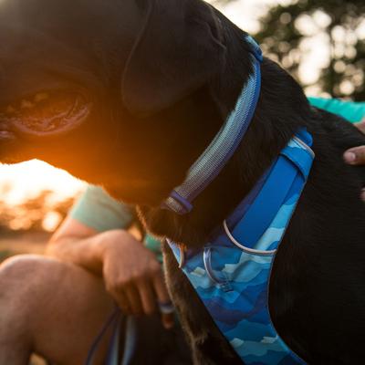 Show full view: Ruffwear Front Range Polyester Dog Collar, Coastal Fade, 14 to 20-in neck, 1-in wide slide 5 of 9