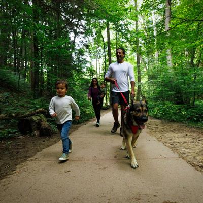 Show full view: Ruffwear Front Range Polyester Dog Collar, Red Canyon, 20 to 26-in neck, 1-in wide slide 4 of 8