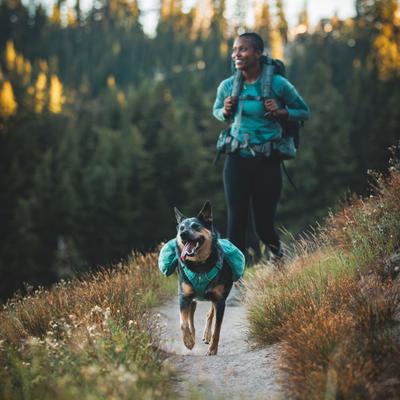 Show full view: Ruffwear Front Range Polyester Dog Collar, River Rock Green, 14 to 20-in neck, 1-in wide slide 4 of 8