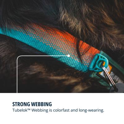 Show full view: Ruffwear Front Range Polyester Dog Collar, Spring Fade, 11 to 14-in neck, 0.75-in wide slide 8 of 9