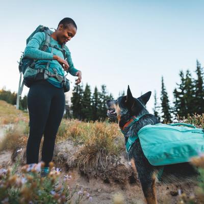 Show full view: Ruffwear Front Range Polyester Dog Collar, Spring Fade, 11 to 14-in neck, 0.75-in wide slide 5 of 9