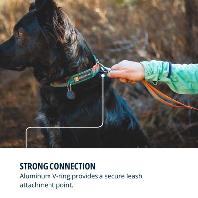 Show full view: Ruffwear Front Range Polyester Dog Collar, Spring Fade, 14 to 20-in neck, 1-in wide slide 6 of 9