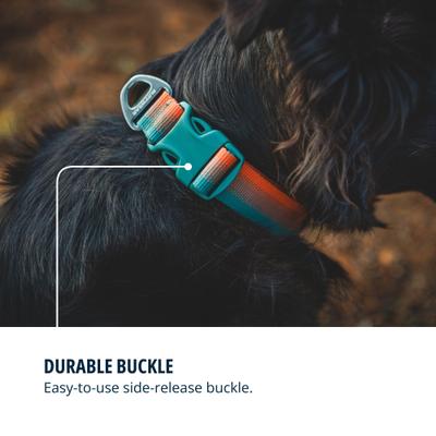 Show full view: Ruffwear Front Range Polyester Dog Collar, Spring Fade, 14 to 20-in neck, 1-in wide slide 7 of 9
