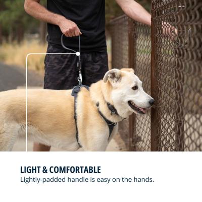 Show full view: TRIXIE Front Range Dog Short Leash, 1-ft long, 1-in wide, Basalt Gray slide 6 of 6