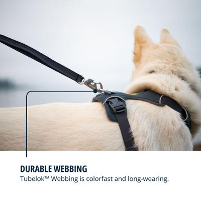 Show full view: Ruffwear Front Range Polyester Dog Leash, Basalt Gray, 5-ft long, 3/4-in wide slide 6 of 8