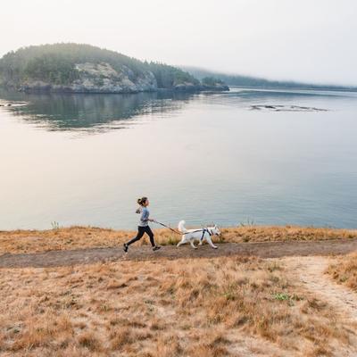 Show full view: Ruffwear Front Range Polyester Dog Leash, Basalt Gray, 5-ft long, 3/4-in wide slide 4 of 8