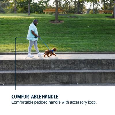 Show full view: Ruffwear Front Range Polyester Dog Leash, Blue Pool, 5-ft long, 3/4-in wide slide 7 of 8