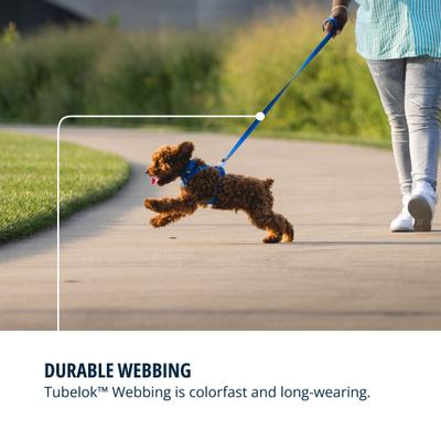 Show full view: Ruffwear Front Range Polyester Dog Leash, Blue Pool, 5-ft long, 3/4-in wide slide 6 of 8