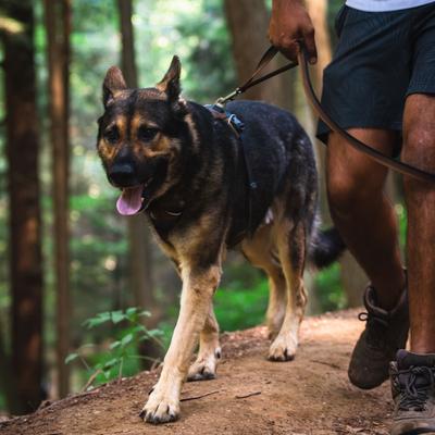 Show full view: Ruffwear Front Range Polyester Dog Leash, Moonlight Fade, 5-ft long, 3/4-in wide slide 4 of 8