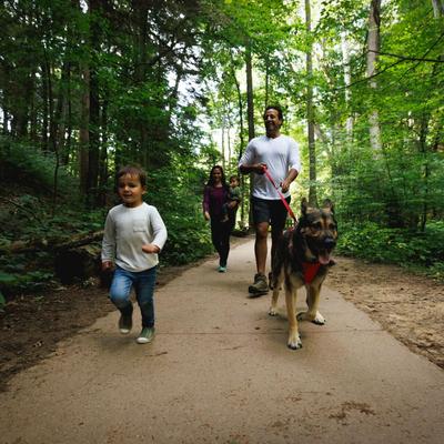 Show full view: Ruffwear Front Range Polyester Dog Leash, Red Canyon, 5-ft long, 3/4-in wide slide 3 of 7