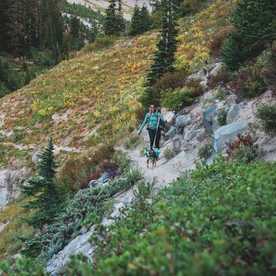 Show full view: Ruffwear Front Range Polyester Dog Leash, River Rock Green, 5-ft long, 3/4-in wide slide 4 of 8