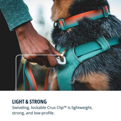 Show full view: Ruffwear Front Range Polyester Dog Leash, Spring Fade, 5-ft long, 3/4-in wide slide 4 of 7