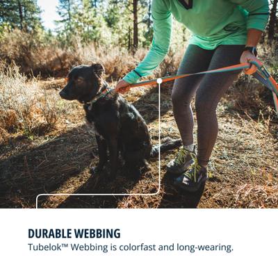 Show full view: Ruffwear Front Range Polyester Dog Leash, Spring Fade, 5-ft long, 3/4-in wide slide 5 of 7