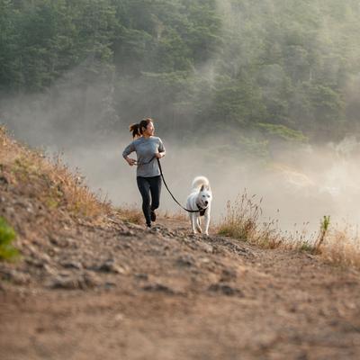 Show full view: Ruffwear Front Range Reflective Front-Clip Dog Harness, Basalt Gray, Large/X-Large: 32 to 42-in chest slide 4 of 10