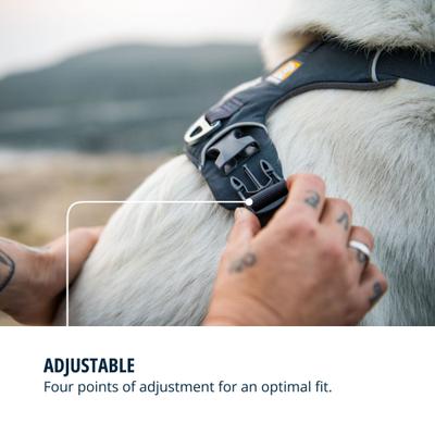 Show full view: Ruffwear Front Range Reflective Front-Clip Dog Harness, Basalt Gray, Medium: 27 to 32-in chest slide 6 of 10