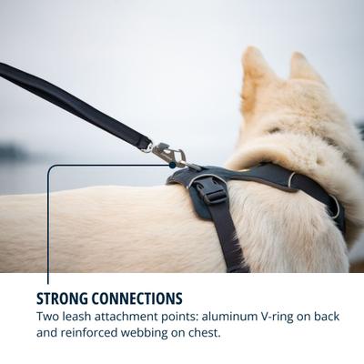 Show full view: Ruffwear Front Range Reflective Front-Clip Dog Harness, Basalt Gray, Small: 22 to 27-in chest slide 7 of 10