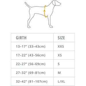 Ruffwear Front Range Reflective Front-Clip Dog Harness, Basalt Gray, XX-Small: 13 to 17-in chest