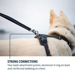 Ruffwear Front Range Reflective Front-Clip Dog Harness, Basalt Gray, XX-Small: 13 to 17-in chest