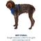 Show in main carousel: Ruffwear Front Range Reflective Front-Clip Dog Harness, Blue Pool, Large/X-Large: 32 to 42-in chest slide 9 of 11
