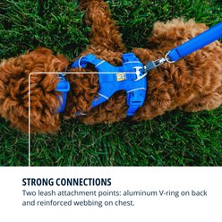 Ruffwear Front Range Reflective Front-Clip Dog Harness, Blue Pool, Medium: 27 to 32-in chest slide 2 of 8