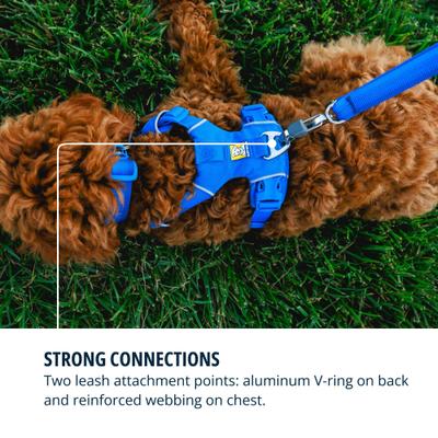 Show full view: Ruffwear Front Range Reflective Front-Clip Dog Harness, Blue Pool, XX-Small: 13 to 17-in chest slide 7 of 10