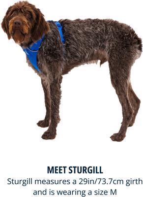 Show full view: Ruffwear Front Range Reflective Front-Clip Dog Harness, Blue Pool, XX-Small: 13 to 17-in chest slide 8 of 10