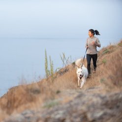 Ruffwear Front Range Reflective Front-Clip Dog Harness, Moonlight Mountains, Medium: 27 to 32-in chest slide 2 of 8