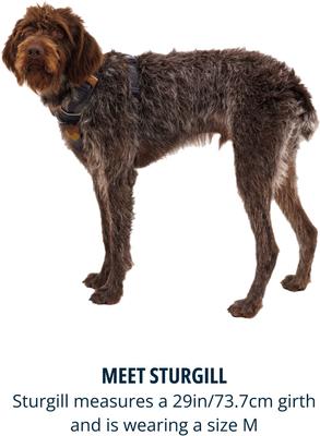 Show full view: Ruffwear Front Range Reflective Front-Clip Dog Harness, Moonlight Mountains, XX-Small: 13 to 17-in chest slide 8 of 10