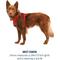 Show in main carousel: Ruffwear Front Range Reflective Front-Clip Dog Harness, Red Canyon, Medium: 27 to 32-in chest slide 8 of 10
