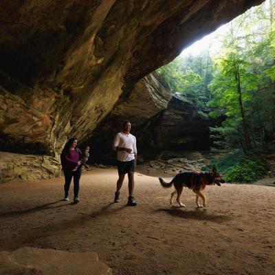 Show full view: Ruffwear Front Range Reflective Front-Clip Dog Harness, Red Canyon, Small: 22 to 27-in chest slide 4 of 10