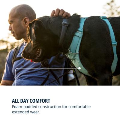 Show full view: Ruffwear Front Range Reflective Front-Clip Dog Harness, River Rock Green, XX-Small: 13 to 17-in chest slide 5 of 9