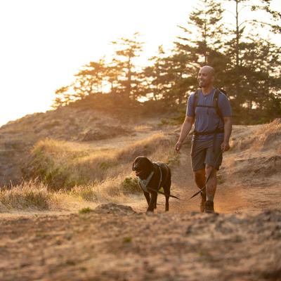 Show full view: Ruffwear Front Range Reflective Front-Clip Dog Harness, River Rock Green, XX-Small: 13 to 17-in chest slide 4 of 9