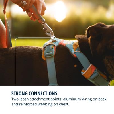 Show full view: Ruffwear Front Range Reflective Front-Clip Dog Harness, Spring Mountains, Large/X-Large: 32 to 42-in chest slide 7 of 10