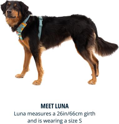 Show full view: Ruffwear Front Range Reflective Front-Clip Dog Harness, Spring Mountains, Large/X-Large: 32 to 42-in chest slide 8 of 10