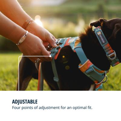 Show full view: Ruffwear Front Range Reflective Front-Clip Dog Harness, Spring Mountains, Small: 22 to 27-in chest slide 6 of 10