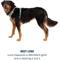 Show in main carousel: Ruffwear Front Range Reflective Front-Clip Dog Harness, Spring Mountains, Small: 22 to 27-in chest slide 8 of 10
