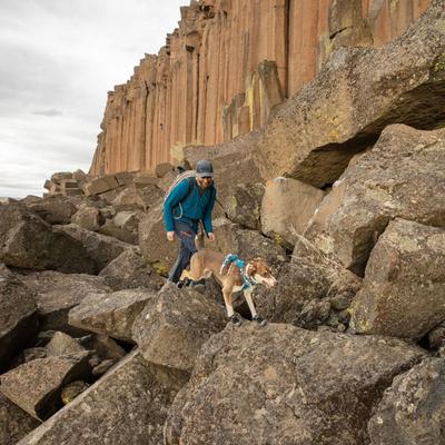 Show full view: Ruffwear Grip Trex Dog Boots, Obsidian Black, 1.75-in, Set of 2 slide 5 of 6