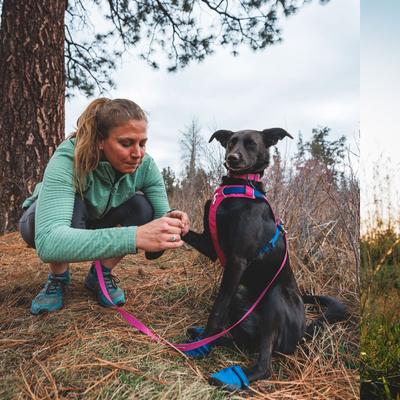 Show full view: Ruffwear Hi & Light Polyester Dog Collar, Alpenglow Pink, 11 to 14-in neck, 0.8-in wide slide 4 of 8