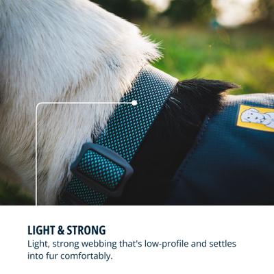 Show full view: Ruffwear Hi & Light Polyester Dog Collar, Basalt Gray, 20 to 26-in neck, 1-in wide slide 5 of 8