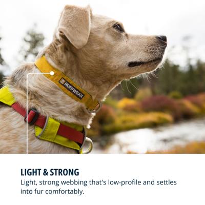 Show full view: Ruffwear Hi & Light Polyester Dog Collar, Lichen Green, 14 to 20-in neck, 1-in wide slide 5 of 8