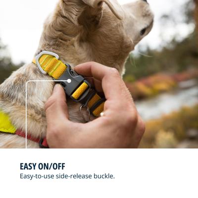 Show full view: Ruffwear Hi & Light Polyester Dog Collar, Lichen Green, 9 to 11-in neck, 0.6-in wide slide 7 of 8