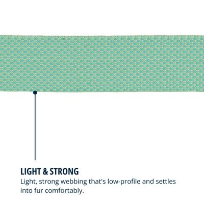 Show full view: Ruffwear Hi & Light Polyester Dog Collar, Sage Green, 11 to 14-in neck, 0.8-in wide slide 7 of 8