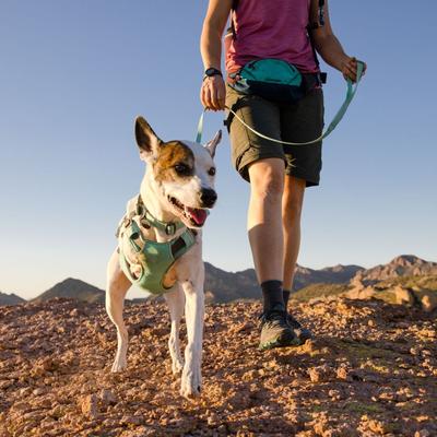 Show full view: Ruffwear Hi & Light Polyester Dog Collar, Sage Green, 9 to 11-in neck, 0.6-in wide slide 4 of 8