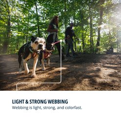 Ruffwear Hi & Light Polyethylene Dog Leash, Alpenglow Pink, 4.5-ft long, 0.78-in wide slide 2 of 6