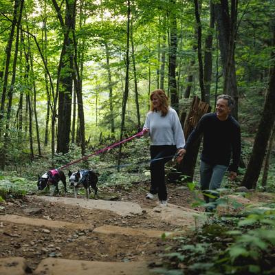 Show full view: Ruffwear Hi & Light Polyethylene Dog Leash, Alpenglow Pink, 4.5-ft long, 0.78-in wide slide 4 of 7