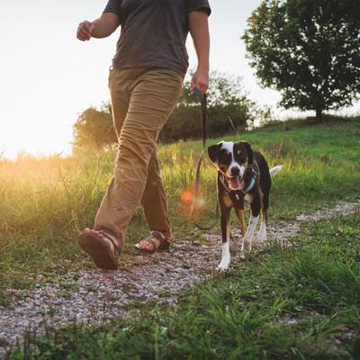 Show full view: Ruffwear Hi & Light Polyethylene Dog Leash, Basalt Gray, 4.5-ft long, 0.78-in wide slide 3 of 6