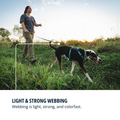 Show full view: Ruffwear Hi & Light Polyethylene Dog Leash, Basalt Gray, 4.5-ft long, 0.78-in wide slide 4 of 6