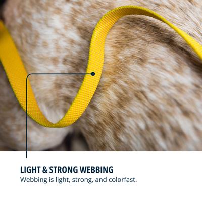 Show full view: Ruffwear Hi & Light Polyethylene Dog Leash, Lichen Green, 4.5-ft long, 0.78-in wide slide 5 of 7