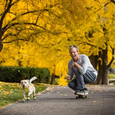Show full view: Ruffwear Hi & Light Polyethylene Dog Leash, Lichen Green, 4.5-ft long, 0.78-in wide slide 4 of 7